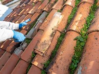 4 soluciones profesionales para eliminar el musgo y los líquenes de la cubierta
